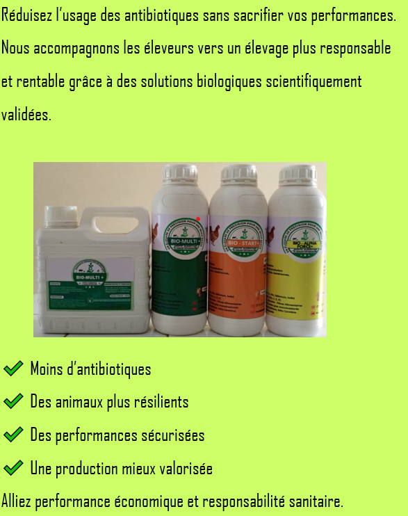 Solution biologique pour améliorer la productivité des élevages et réduire l'usage des antibiotiques synthétiques